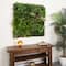 38" Framed Madagascar Forest Artificial Living Wall Art Panel